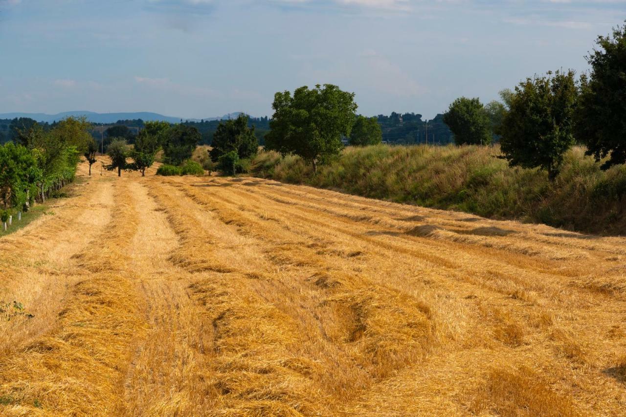 Locazione Turistica Casa Vento Della Toscana Foiano Della Chiana Exteriér fotografie
